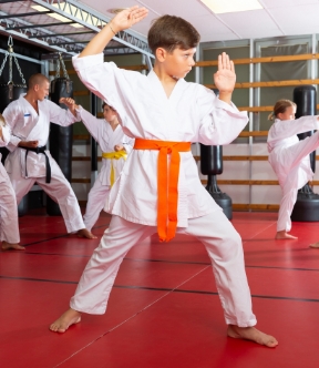 Tae Kwon Do